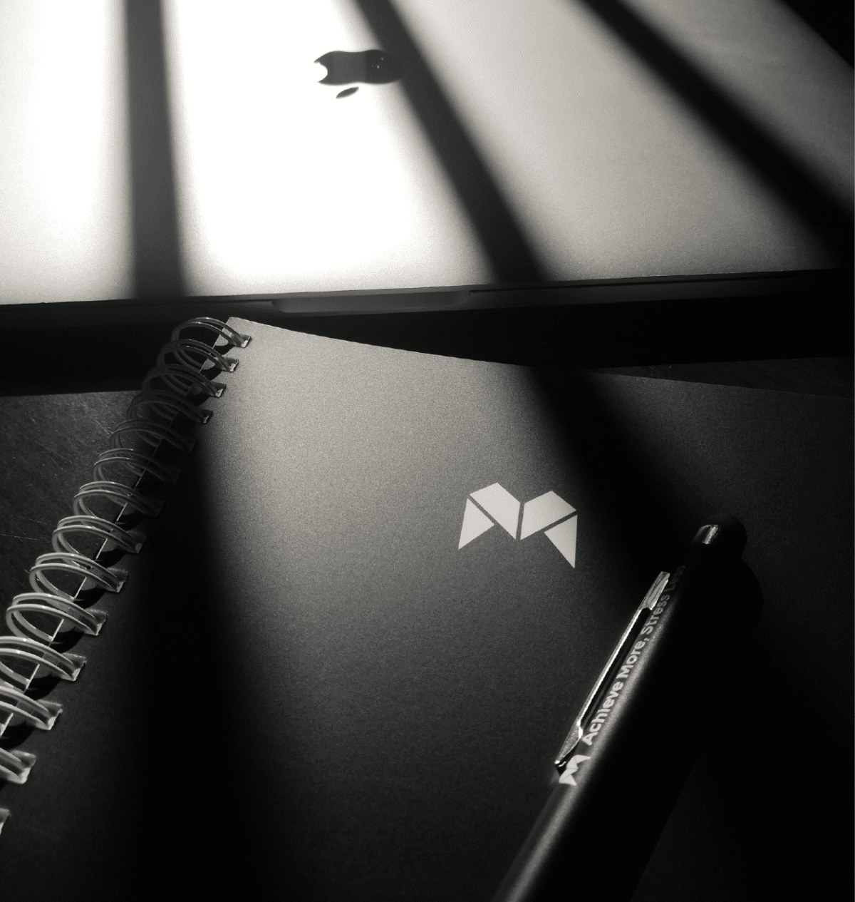 moost planner